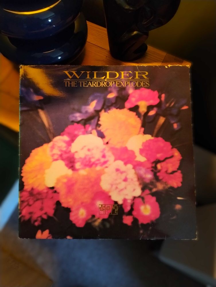 I'm now listening to the album Wilder by The Teardrop Explodes.