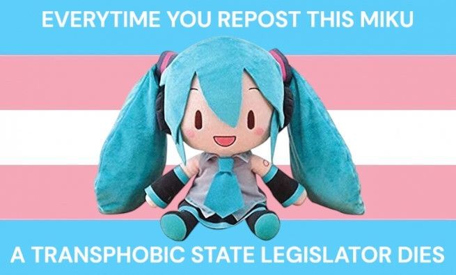 A plushie of Hatsune Miku superimposed onto the trans pride flag.

On the top and bottom it says "Everytime you repost this miku a transphobic state legislator dies"