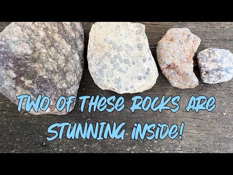 Cutting four rocks with orbicular patterns! (2 ARE STUNNING!) Igneous stones cut with lapidary saw.