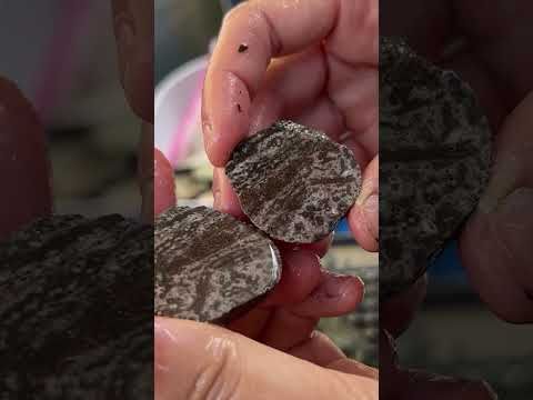 Unusual Rhyolite Stone: Nature's Most Unique Rock