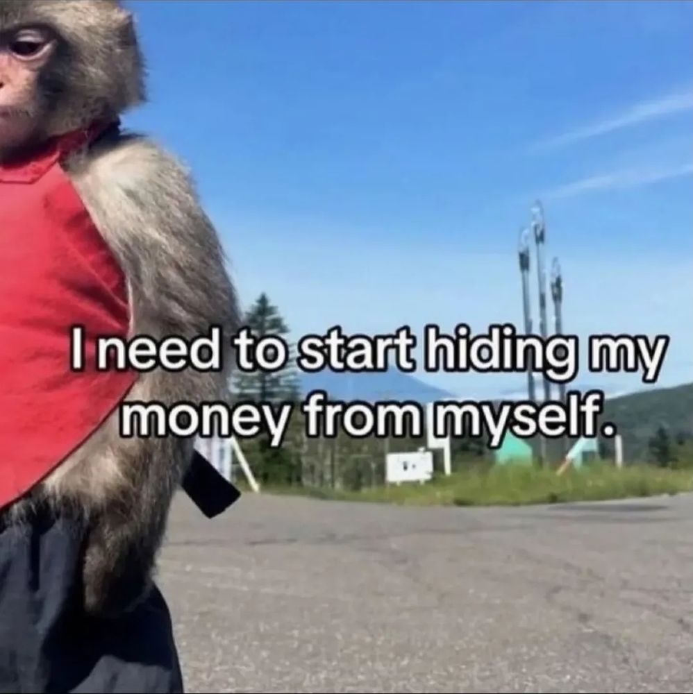 A monkey wearing clothes with the text "I need to start hiding my money from myself"