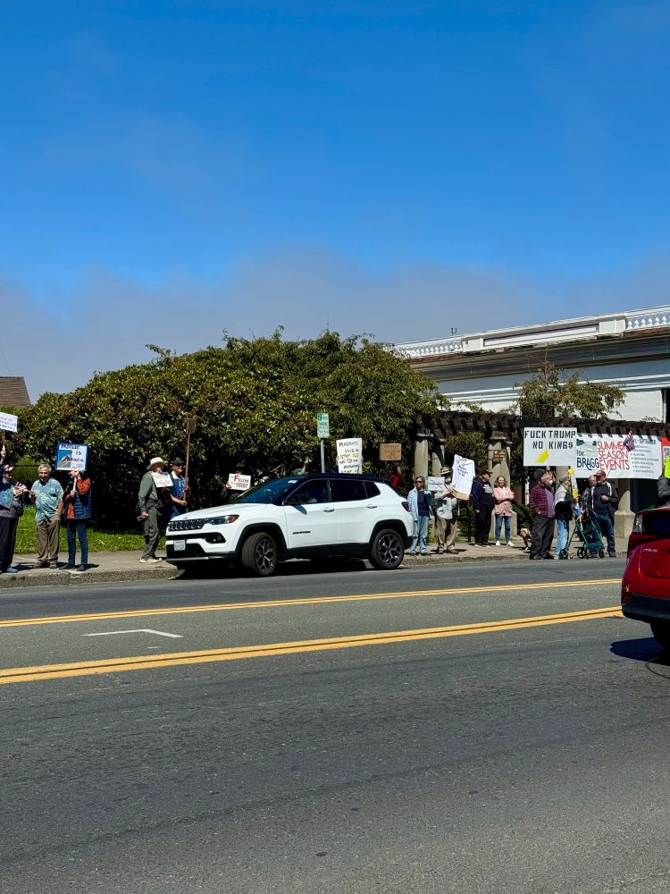 Every Saturday morning our coastal patriots are out protesting this fascist government along Coastal Hwy 1 in Fort Bragg, California. 