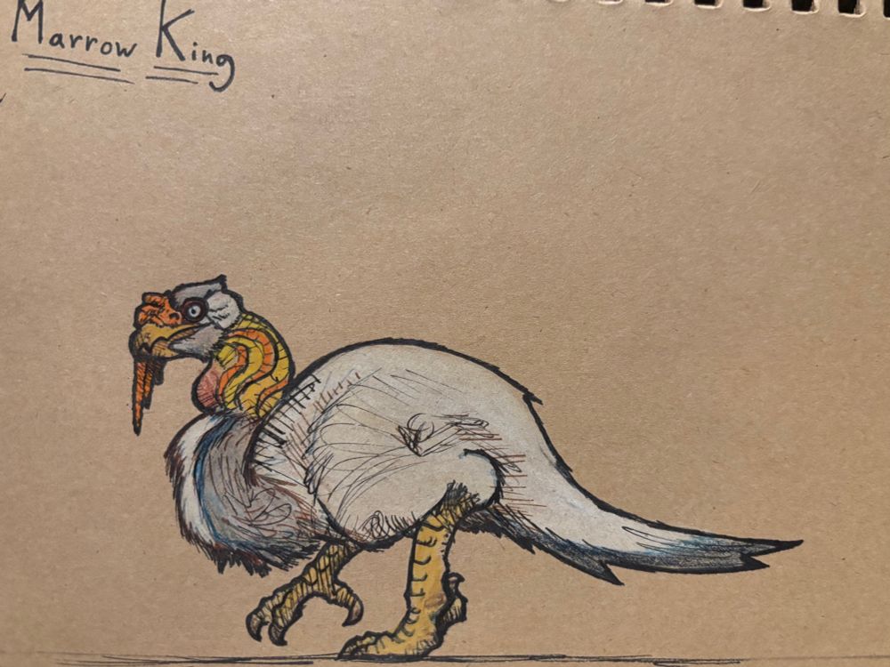 A giant flightless vulture with a big orange caruncle and an orange and yellow neck. It’s plumage is mostly white with grey counter-shading.
It’s called a ‘Marrow King’ and is the largest carrion-feeding ornid in the world.