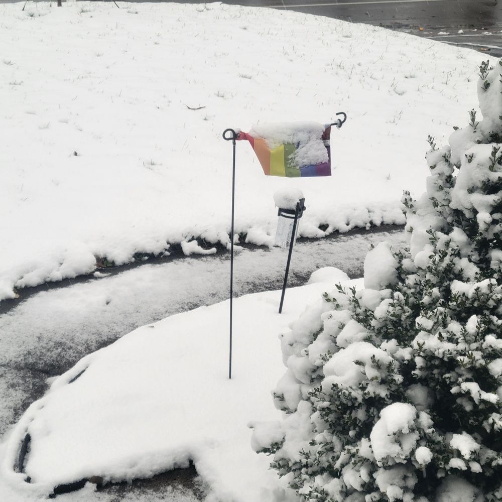 A section of our snowy front yard, with a partially-rolled-up-by-the-wind pride flag as the only dash of bright color on the white backdrop.

