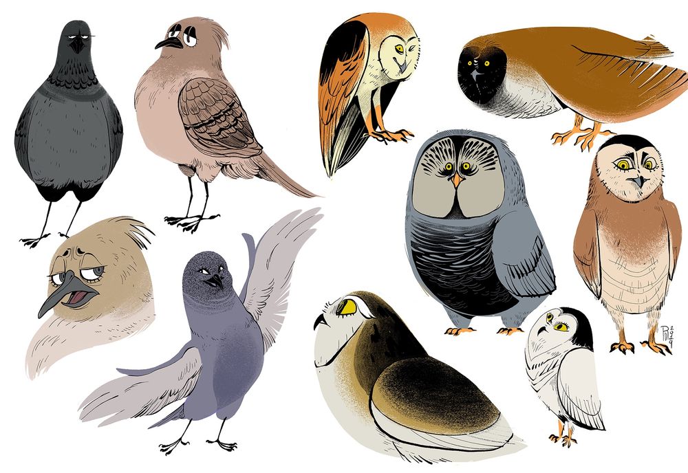 A character illustration of four pigeons and five owls. The birds are brown and gray in color. 