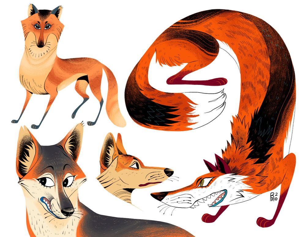 character designs of three red foxes and one gray fox.