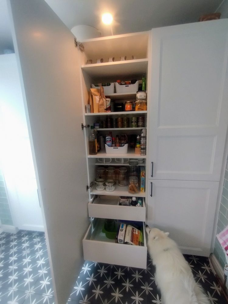 My fluffy white dog checking out the contents of my darned fine Maximara drawers.