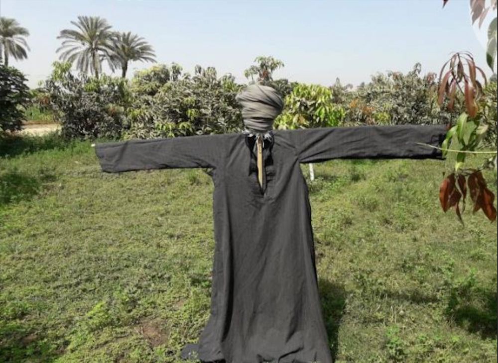 A modern Egyptian scarecrows or "scare-quail" in the garb of a fellah