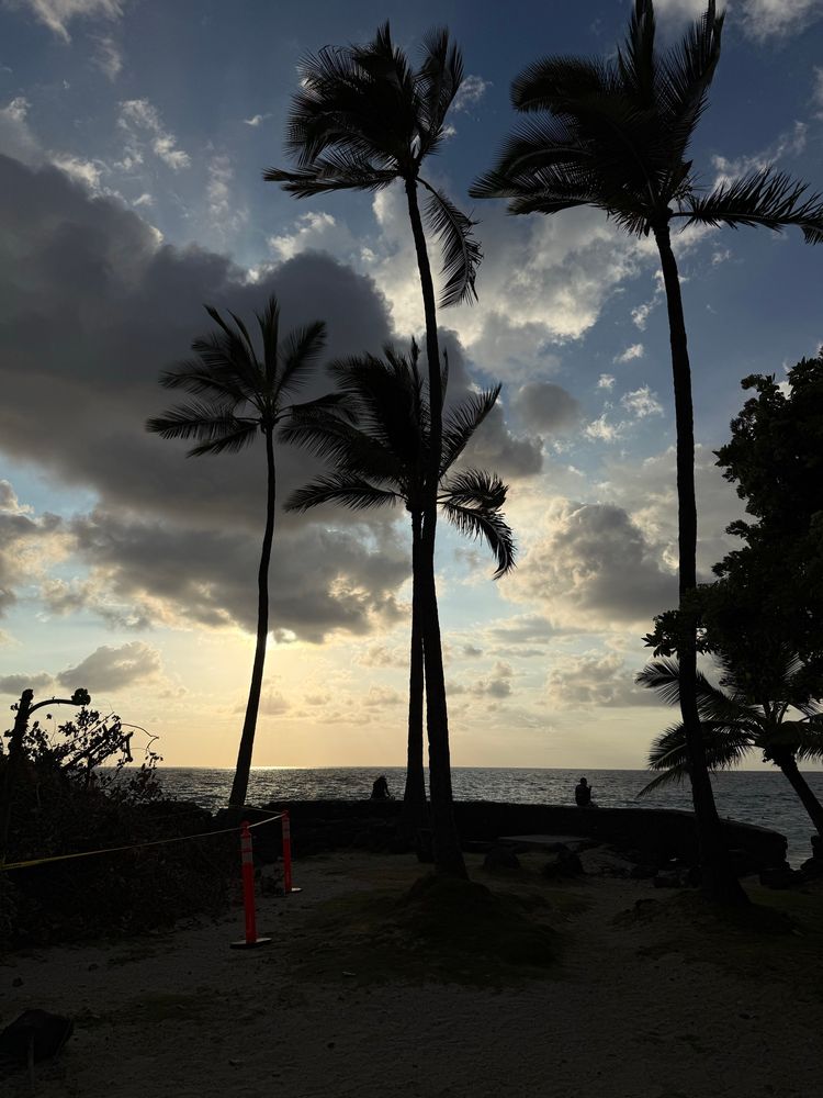 Photo shows sunset sky over Kona with palm trees, clouds and ocean.