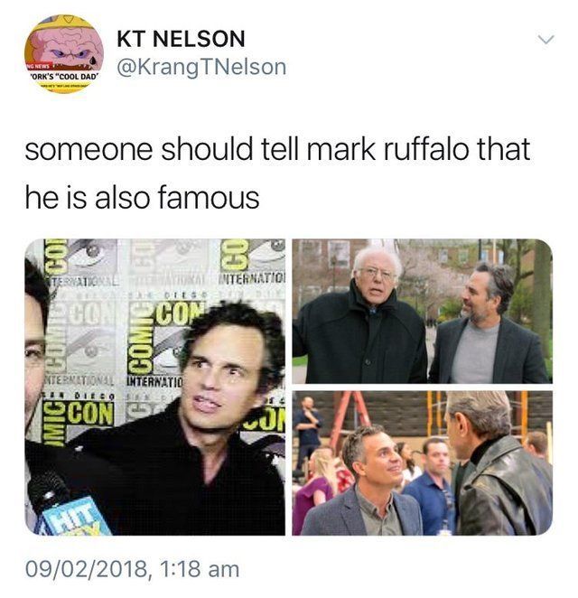 @krangtnelson someone should tell mark ruffalo that he is also famous

images of mark ruffalo with paul rudd, bernie sanders, and jeff goldblum