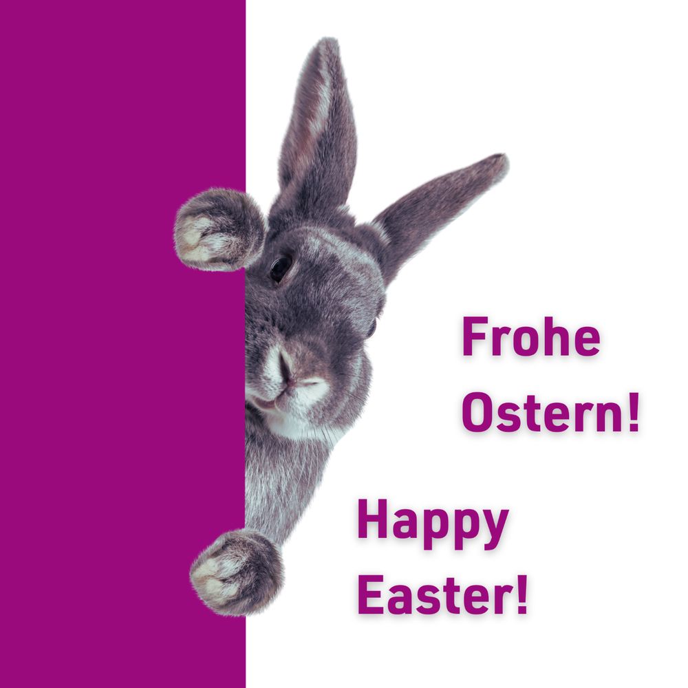 Ein Kaninchen lugt aus einem lila Balken heraus. Lila Schrift auf weißem Hintergrund: "Frohe Ostern! Happy Easter!"