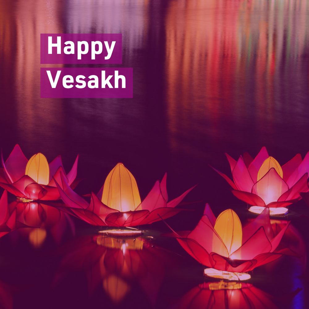 eine Gruppe von rosa Lotoslaternen, die auf dem Wasser schwimmen