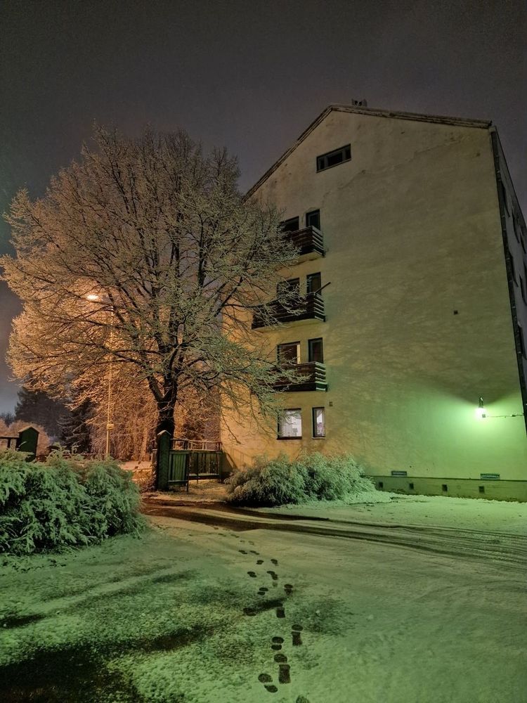 Snowy view of three and apartment building