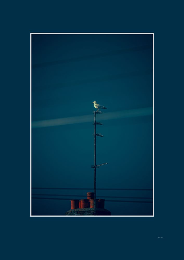 We see a lone gull perched atop a slender antenna, itself anchored on a rooftop chimney with faded red stacks. The background is a deep, nearly surreal blue, crossed by faint, linear traces — maybe power lines, maybe echoes of contrails — suggesting motion, connection, or interference.