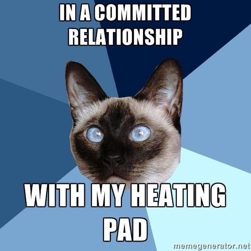 Meme with random animal in center (this one is a Siamese cat)

Text: I'M IN A COMMITTED RELATIONSHIP WITH MY HEATING PAD 

