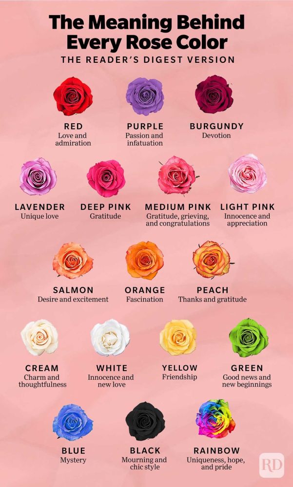 Graphic that reads: The Meaning Behind Every Rose Color - The Reader’s Digest version

Red: Love and admiration.
Purple: Passion and infatuation.
Burgundy: Devotion.
Lavender:  Unique love.
Deep pink: Gratitude
Medium pink: Gratitude, grieving, and congratulations.
Light pink: Innocence and appreciation.
Salmon: Desire and excitement.
Orange: Fascination. 
Peach: Thanks and gratitude.
Cream: Charm and
thoughtfulness.
White: Innocence and new love.
Yellow: Friendship.
Green: Good news and new beginnings.
Blue: Mystery. 
Black: Mourning and chic style.
Rainbow: Uniqueness, hope, and pride.
