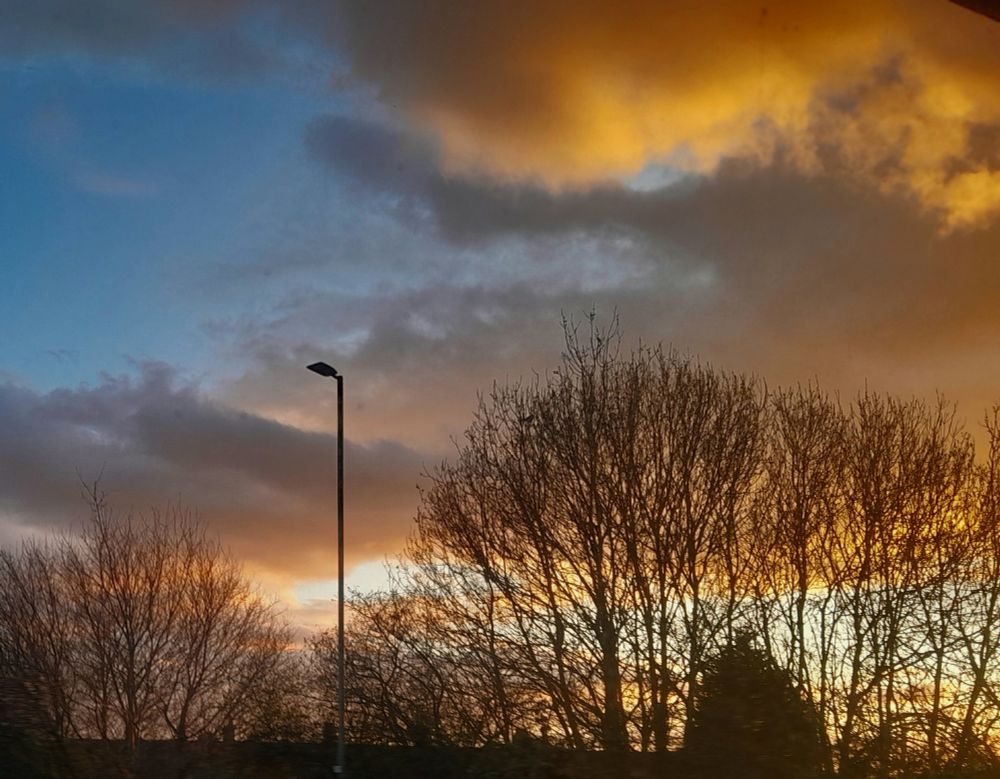Golden, orange and grey clouds over shadowed trees and a lamp post, as the sun sets in a blue sky 