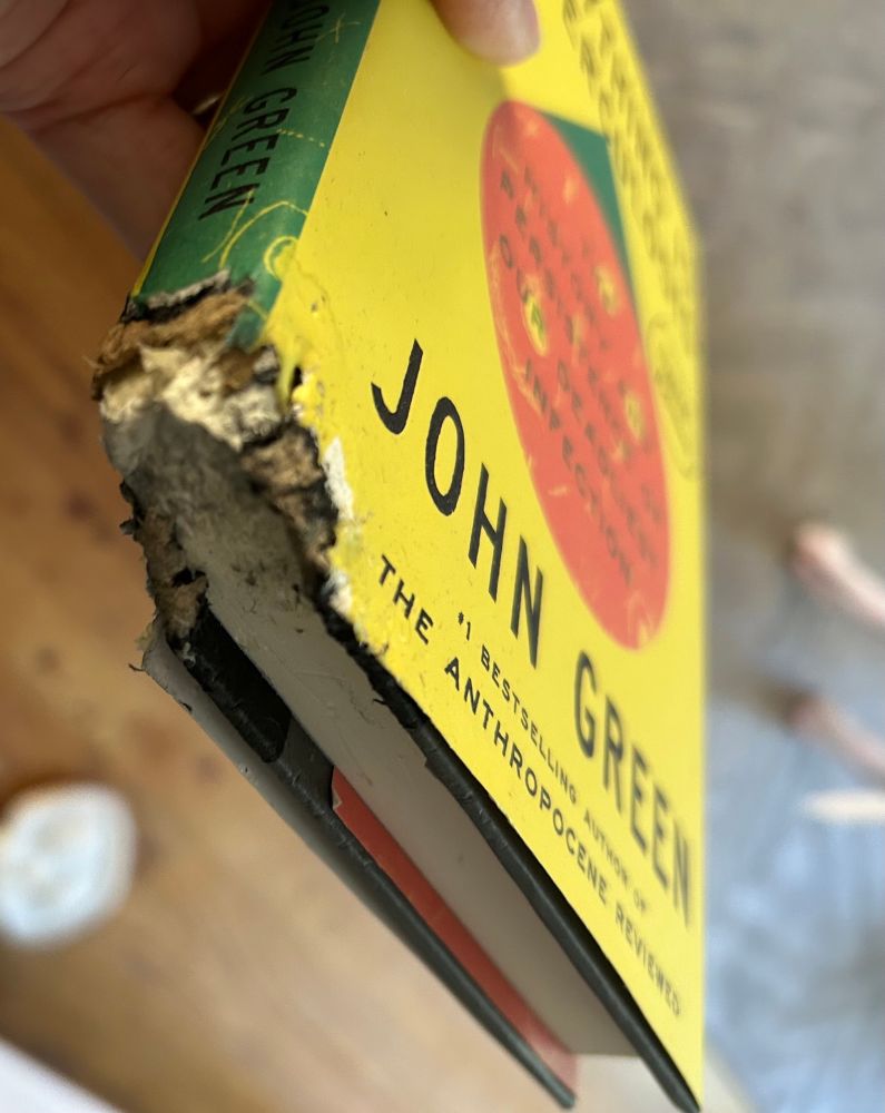 Everything is Tuberculosis by John Green, but the bottom left corner is chewed completely off. There is a white chew toy on the floor, too, so clearly the offending pooch had options.