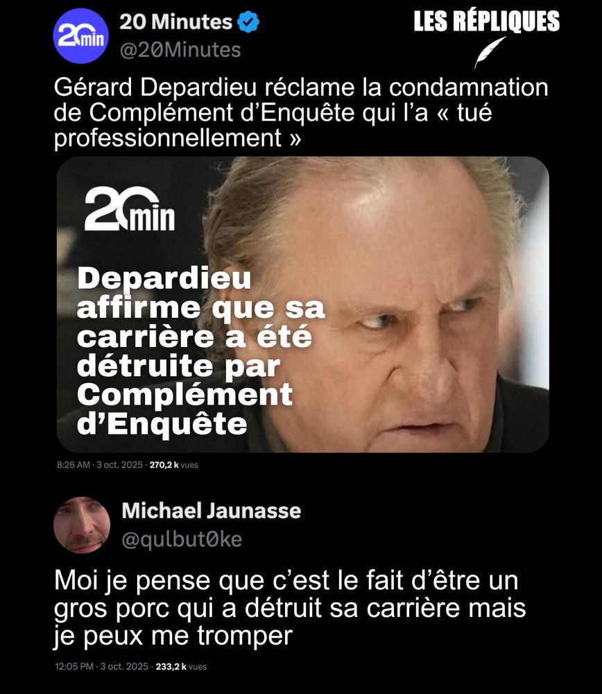 L'avocat de l'acteur Me Jérémie Assous estime que le documentaire diffusé en décembre 2023 par Complément d'Enquête sur France 2 a « tué » la carrière de son client en le présentant à tort comme un homme sexualisant une fillette.

Réplique de Michael Jaunasse : Moi je pense que c’est le fait d’être un gros porc qui a détruit sa carrière mais je peux me tromper