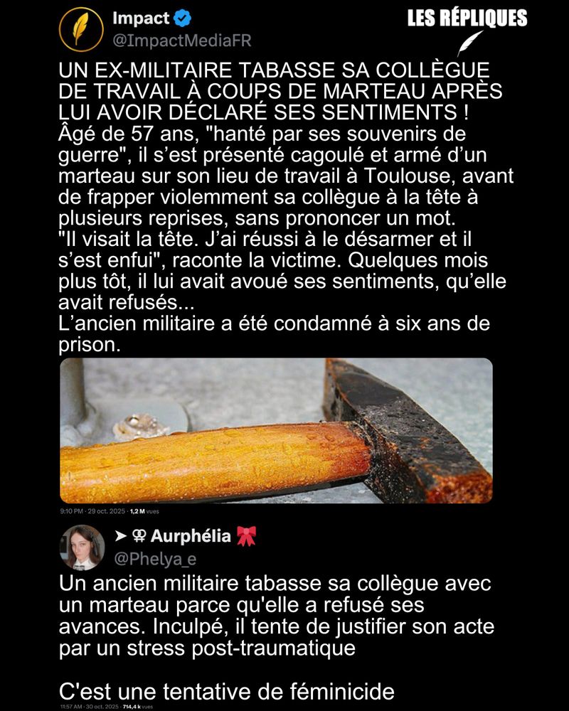 À Toulouse un ex-militaire a violemment agressé sa collègue de travail à coups de marteau après que celle-ci a rejeté ses avances. La victime a survécu à l’attaque en parvenant à le désarmer.

Réplique de de Aurphélia : Un ancien militaire tabasse sa collègue avec un marteau parce qu'elle a refusé ses avances. Inculpé, il tente de justifier son acte par un stress post-traumatique 

C'est une tentative de féminicide