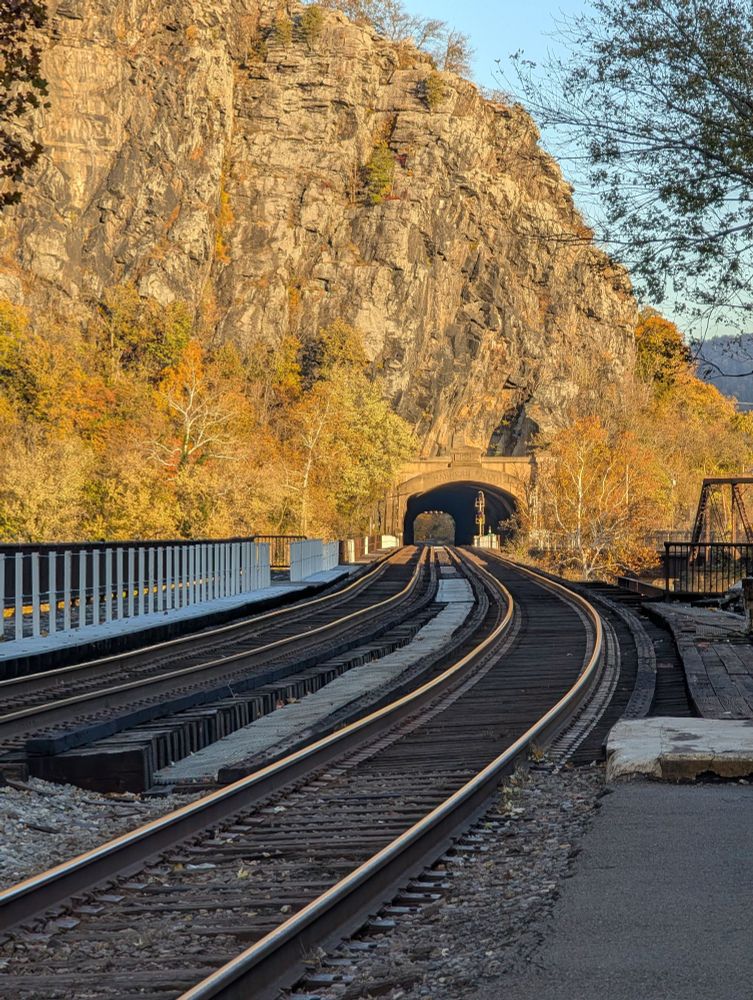 Close up of the parallel tracks running into a tunnel. The tunnel is lit by the setting Sun and covered in fall leaves. Brilliant oranges in yellows. 