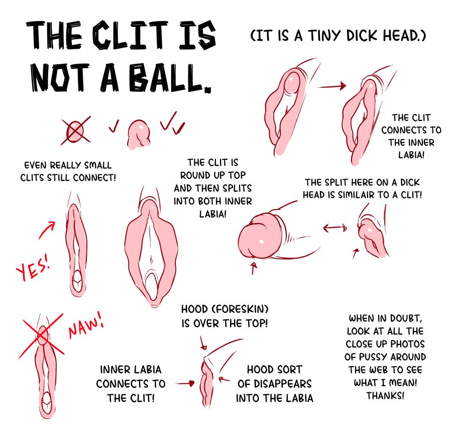 A quick run down of how the clit is not a round organ, it is split at the bottom into the inner labia. 