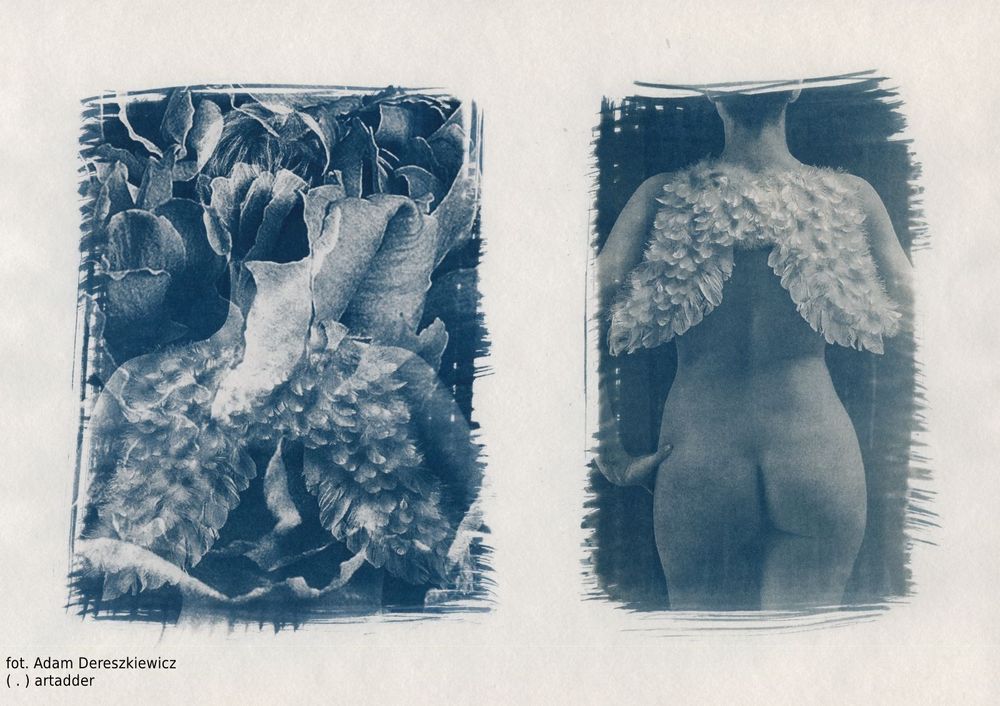 Cyanotype dual area print side by side resembling same bare back of naked woman wearing small white feather wings but different frame - left more cropped, just to the head and wings. Left part made with heavy floral overlay.