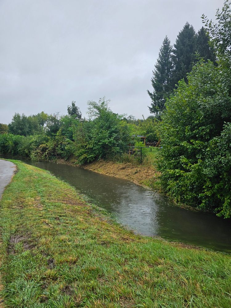 Foto van de overvolle (normaal gesproken klein en smal) Geleenbeek.