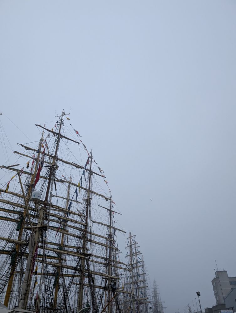 Tall ship's masts and rigging in the fog. 