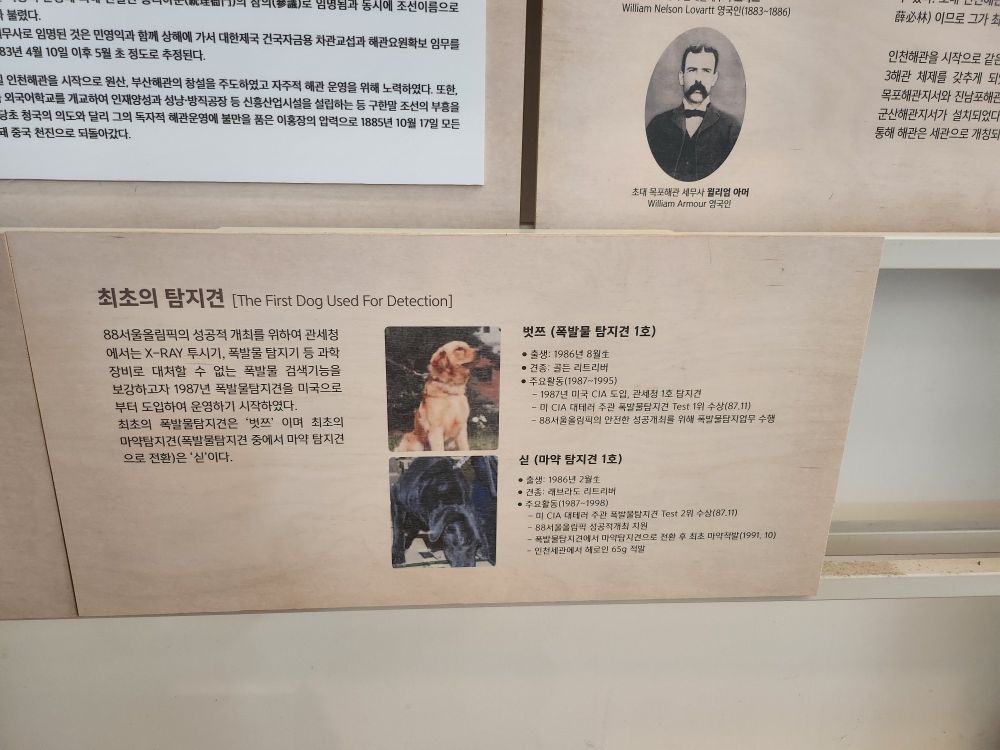 한국 최초의 탐지견 벗쯔
