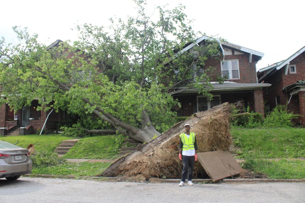A man, Kevin Hines, stands in front of one of the many trees uprooted in St. Louis during a tornado. 