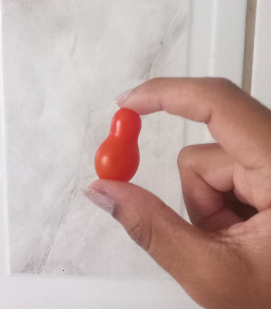 Foto de um tomate-cereja em formato de joão bobo sendo segurado entre meus dedos polegar e indicador da mão direita contra uma parede de azulejos branco-acinzentados.