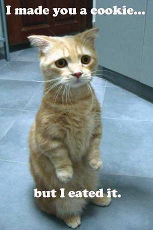 throwback lolcat meme- a remorseful looking orange cat with the text "I made you a cookie... but I eated it."