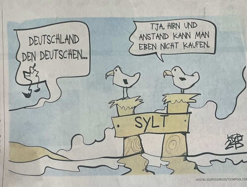 2 Möven unterhalten sich sich über Menschen