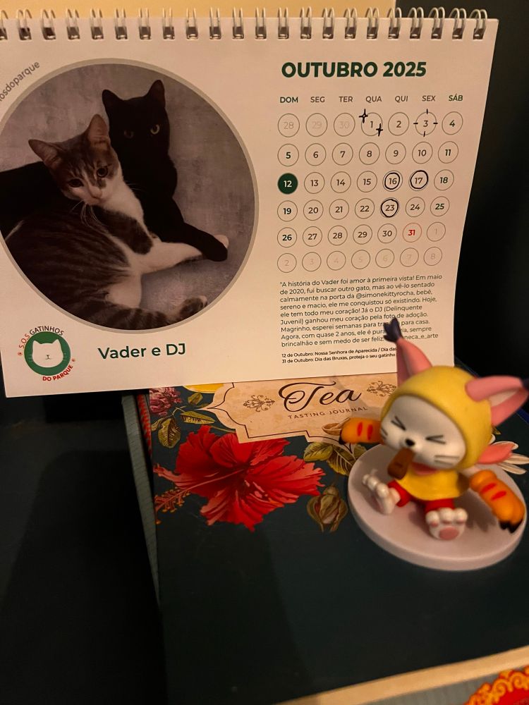 Foto da minha mesa de trabalho. Há um calendário no mês de outubro com foto de dois gatinhos que parecem estar segurando as patas um do outro. Na frente há uma miniatura da Tailmon. Abaixo do calendário e da miniatura há um caderno de chás.