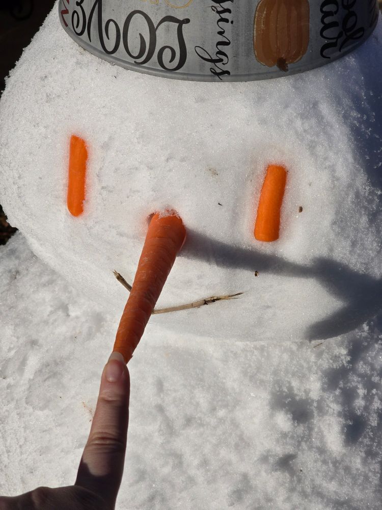 Cute snowman face with carrots for eyes and nose with a stick in a "v" for a mouth