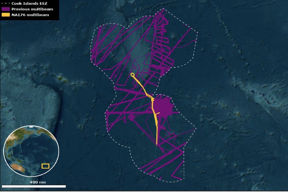 Map showing the previous multibeam mapping of the Cook Islands EEZ (purple) and the multibeam mapping conducted by the E/V Nautilus in October 2024 (yellow). Image courtesty of the Ocean Exploration Trust.
