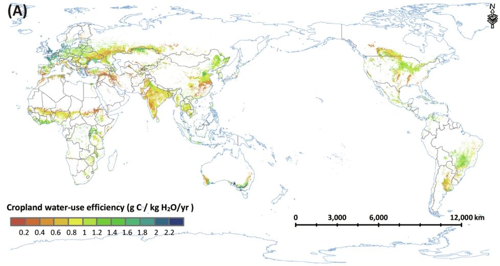 Spatial pattern (left panel) and latitudinal profile (right panel) of global mean annual cropland water-use efficiency (WUE) (averaged over 2001–2018): (A) GCWUE (generated by this study); (B) GLASS WUE; (3) MODIS WUE.