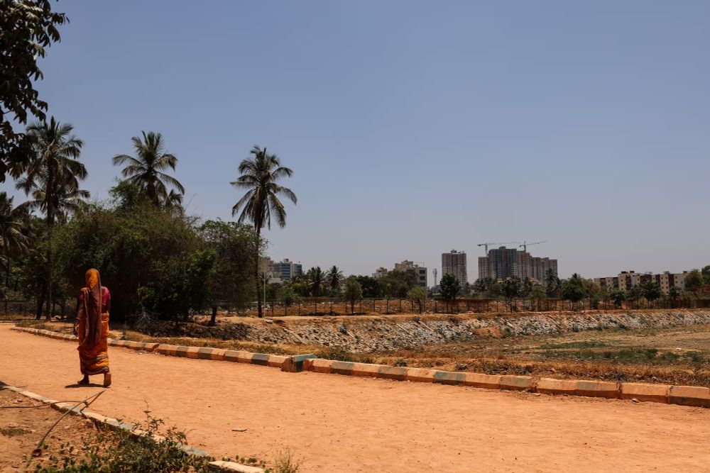 A woman walks past the parched banks of Bengaluru’s Nallurahalli Lake during a water shortage in April 2024. Photograph: Anadolu/Getty Images
