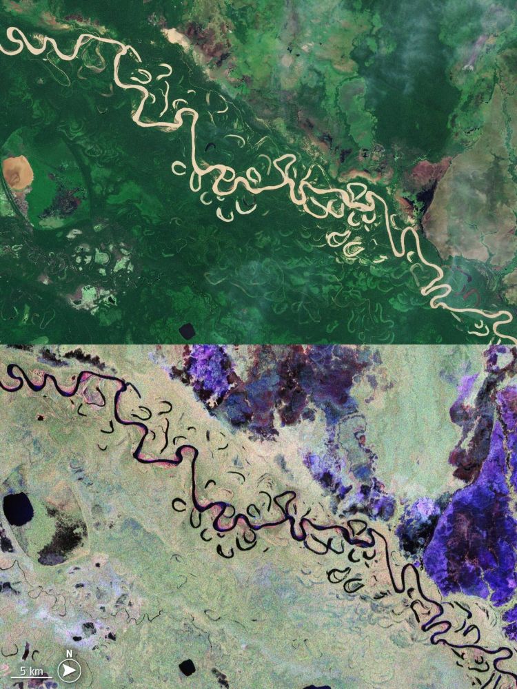 Comparaison d'une portion de la forêt bolivienne photographiée par le satellite européen Sentinel-2 (en haut) et par le nouveau Biomass (en bas), capable de voir à travers la végétation de la canopée. (Photos ESA, CC BY-SA 3.0 IGO)
