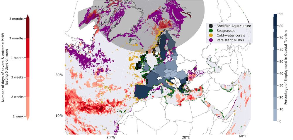 Biodiversity and coastal employment exposition to marine heat waves. Cumulative number of marine heatwave (MHW) days
(method following Hobday et al., 2016), considering categories 3 and above, lasting 5 d or more in 2024 based on the product ref. nos. 15
and 16 (red graduation).
