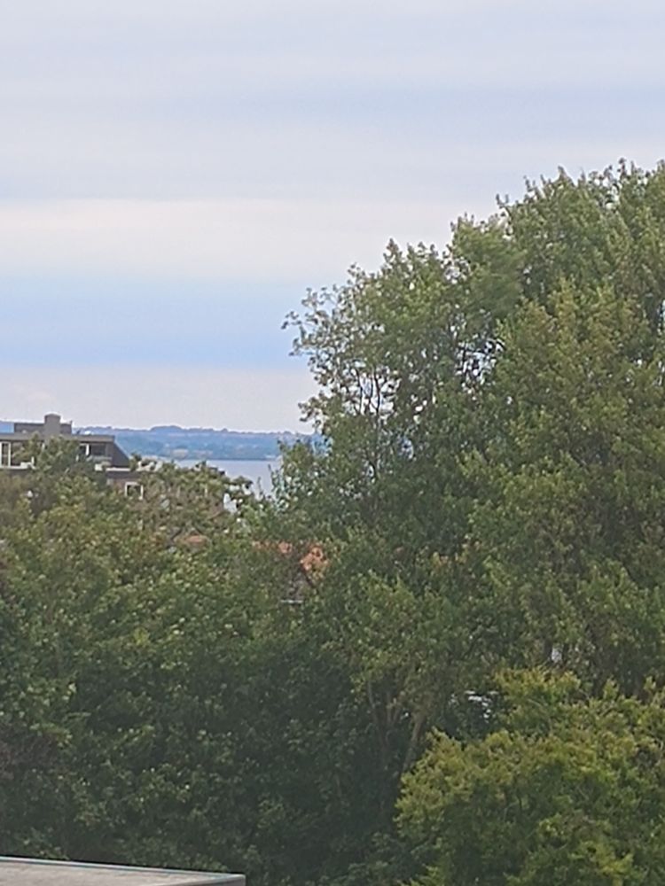 Bäume und ein Stückchen Ostsee. 