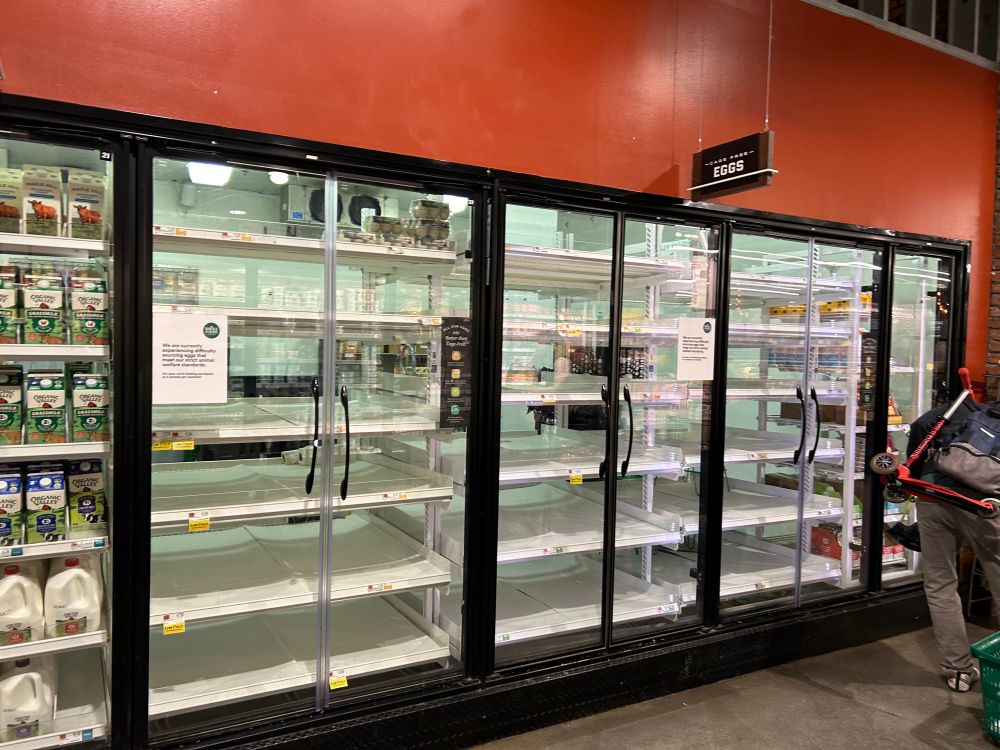 Empty egg display shelves in Brooklyn today