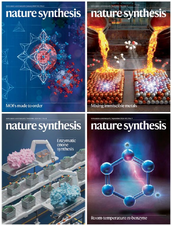4 cover images from 2024 published in Nature Synthesis