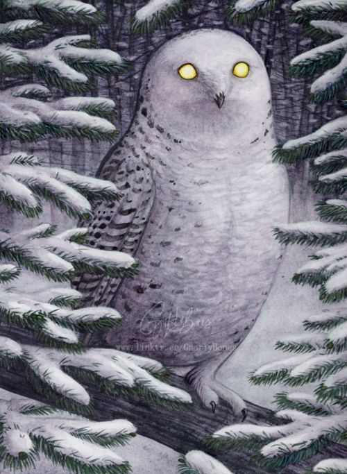 A snowy owl with glowing yellow eyes in a winter scene.