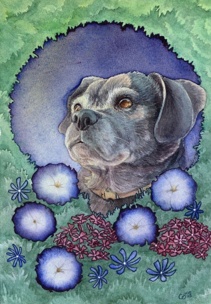 A pet portrait of a puggle named Layla
