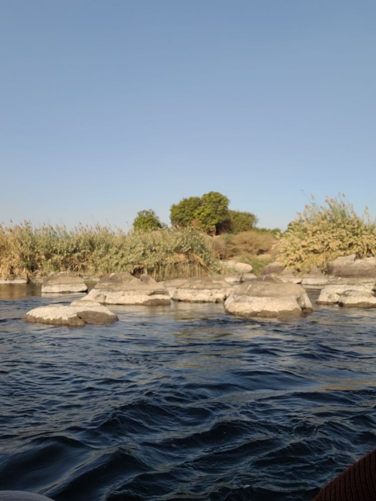 Shore of the nile
