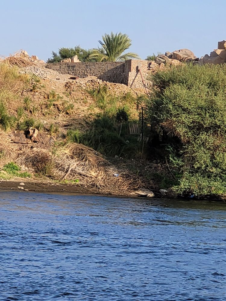 Shore of the Nile