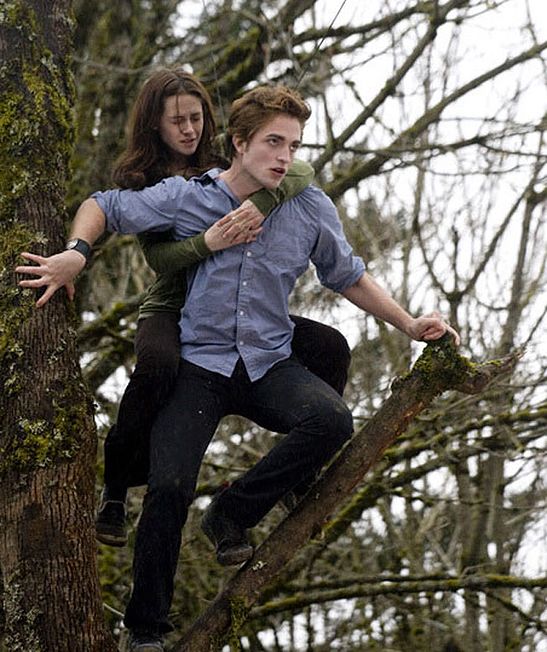 Scene from Twilight (2008) when Edward flies through the treetops with Bella on his back. Edward is poised to fly off of a tree branch and Bella is bracing herself with eyes closed