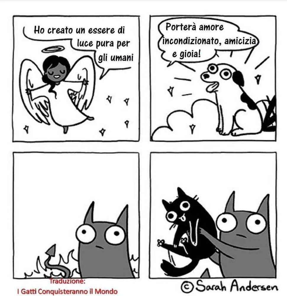 A four panel black and white comic in Italian. The Italian text is: "Ho creato un essere di luce pura per gli umani. Porterà amore incondizionato, amicizia, e gioia!"

At the bottom it says "Traduzione: I Gatti Conquisteranno il Mondo" or "Translation: The Cats Will Conquer the World"

The English translation and description of the body of the comic is in the post, or reproduced here:

Angel: "I have created a being of pure light for the humans."

[It's a puppy] "It will bring unconditional love, friendship, and joy."

[A devil, surrounded by fire, looks up.]

[The devil holds up a black cat as if to counter the angel's move.]